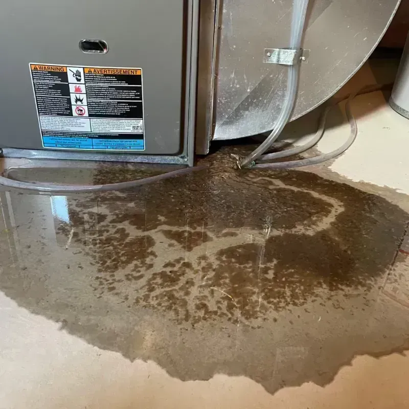 Appliance Leak Cleanup in Ponder, TX